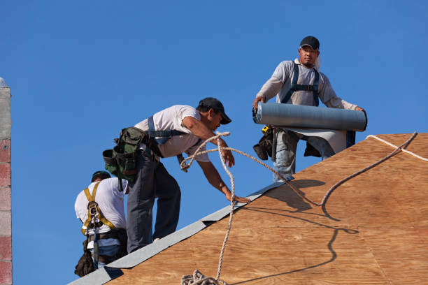 Best Roof Gutter Cleaning  in Milford, UT