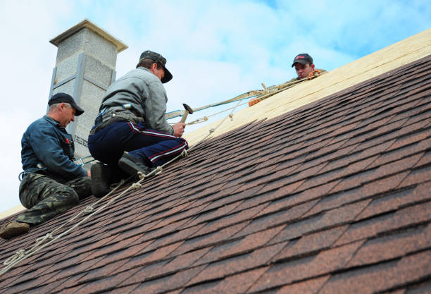 Roof Gutter Cleaning in Milford, UT